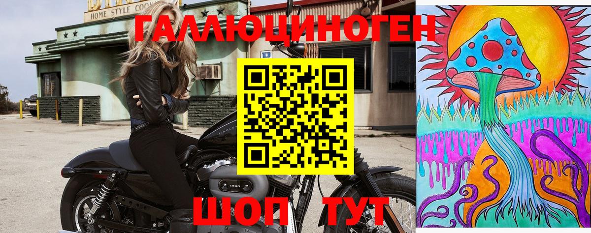 Псилоцибиновые грибы Psilocybe Заволжье